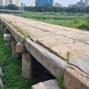 밤섬농장 이미지