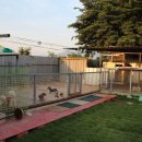 브리티쉬 엔보이 이미지