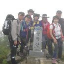 여인의 사랑 Daum카페