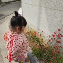 빈키즈 이미지