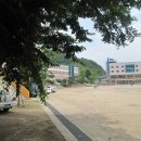 금천중고등학교