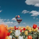 사랑의 대화 이미지