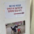 홍단헤어서면 | 서면 증명사진 잘찍는 곳 피스비사진관 후기
