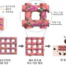 한국3D바이오