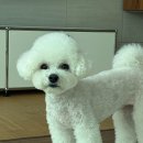 애니살롱 본점 이미지