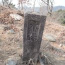 환주농장 Daum카페