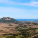 구좌공설묘지 이미지