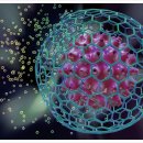 엘바이오 이미지