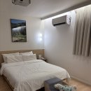 더휴식 아늑 청주 우암1호점 | 청주 애견동반 호텔 숙소 추천 우암동 더휴식아늑호텔 1호점 펫룸 내돈내산 후기