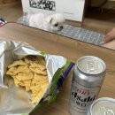 물맑음 펜션 이미지