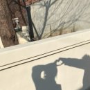 삼덕카센타 이미지