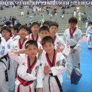 연세대 태권도 이미지