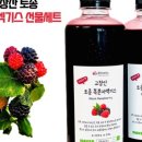 복분자하우스카페복분자 네이버블로그