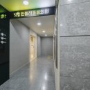 민들레내과의원 네이버블로그