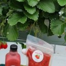 삼종농장 이미지