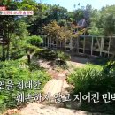 소나무숲민박 이미지