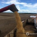 지수농장 연합뉴스
