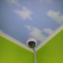 푸른나무어린이집 이미지