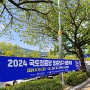 국토정중앙배꼽마을 | 2024 국토정중앙 양구 배꼽축제 100× 방문 후기