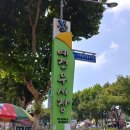 대구예전우시장 이미지