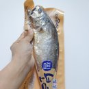 영광보리굴비 거영굴비유통 찐굴비 밥도둑