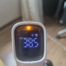 가마로강정(구포점) | 코로나 확진 후기 (내가 코로나라니)