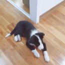 (주)스타몽 이미지