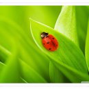 이수 행정사 사무소 이미지