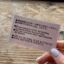 다도 | 후쿠오카 하카타 가볼만한곳 ‘라쿠스이엔’ 다도체험 후기