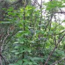 큰산농장 이미지