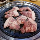 황금돼지뒷고기 이미지