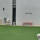 레인바우