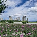 무궁화근린공원2 이미지