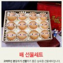 팜스팜 이미지