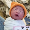 담마샨티요가 | 임산부요가 (2024.11.24) 이*미님의 출산 후기 [오창요가 -담마샨티요가]