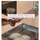 중학생 아들 가을 소풍 도시락.jpg 이미지