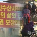 수산시장 이미지