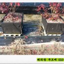 푸르매농장 이미지