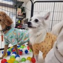 멍스 스쿨 이미지