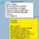 으뜸청소 Daum카페