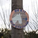 블루포니 게스트하우스 이미지