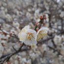 주식회사 대이 이미지