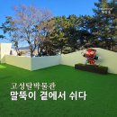 고성탈박물관 이미지