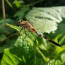 초당대학교 기숙사 이미지