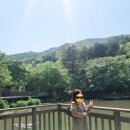 내원정사 옆 이미지