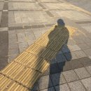 충주시특별교통수단이동지원센터(출근) | 경남특별교통수단 창원시 임산부 택시비 지원사업 이용방법과 후기