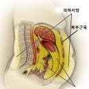 방서 참 한의원 이미지