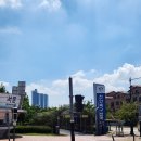 대성부분정비센타 | 넘나 늦은 2025년도 3회차 도배기능사 미완성 실격 후기(천안시험장 대성도배타일 목공건축학원)