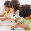 파인슐레 국제 어학원 이미지