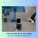 912 | 가성비 남자 클론 향수 휠 대체 가능할까? 912 스모키 사이프러스 내돈내산 후기